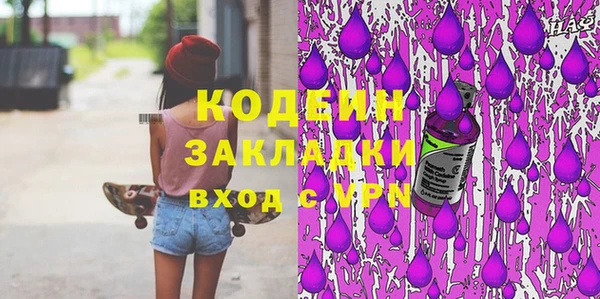 ГАЛЛЮЦИНОГЕННЫЕ ГРИБЫ Каменка