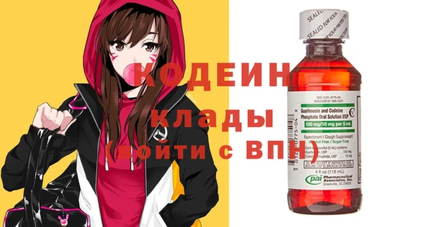 ГАЛЛЮЦИНОГЕННЫЕ ГРИБЫ Каменка