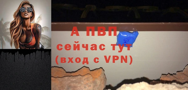 ГАЛЛЮЦИНОГЕННЫЕ ГРИБЫ Каменка