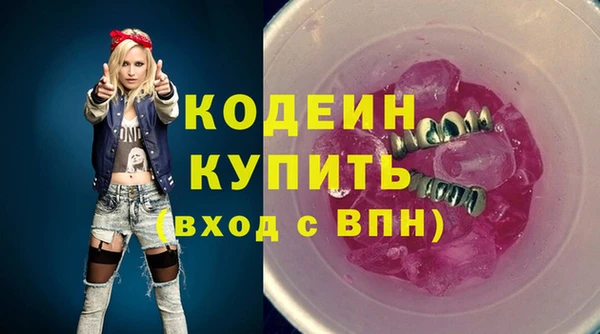 ГАЛЛЮЦИНОГЕННЫЕ ГРИБЫ Каменка