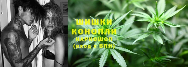 ГАЛЛЮЦИНОГЕННЫЕ ГРИБЫ Каменка