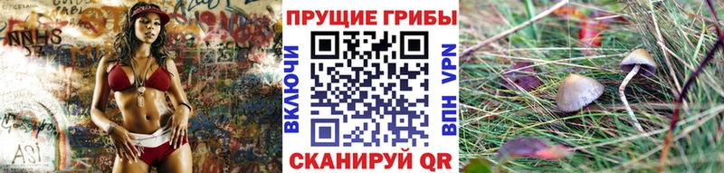 Псилоцибиновые грибы Magic Shrooms  Купить  Салават 